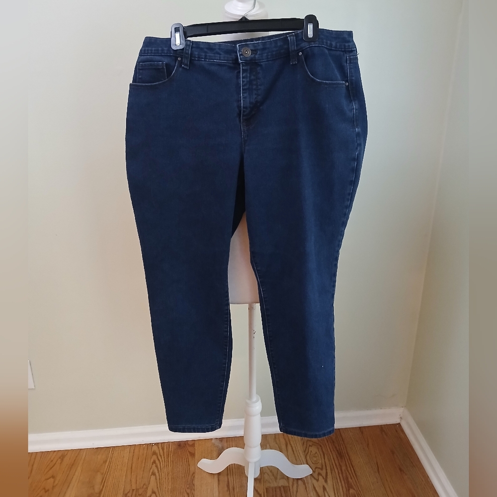 2/$15 Style & Co Skinny Leg Jeans